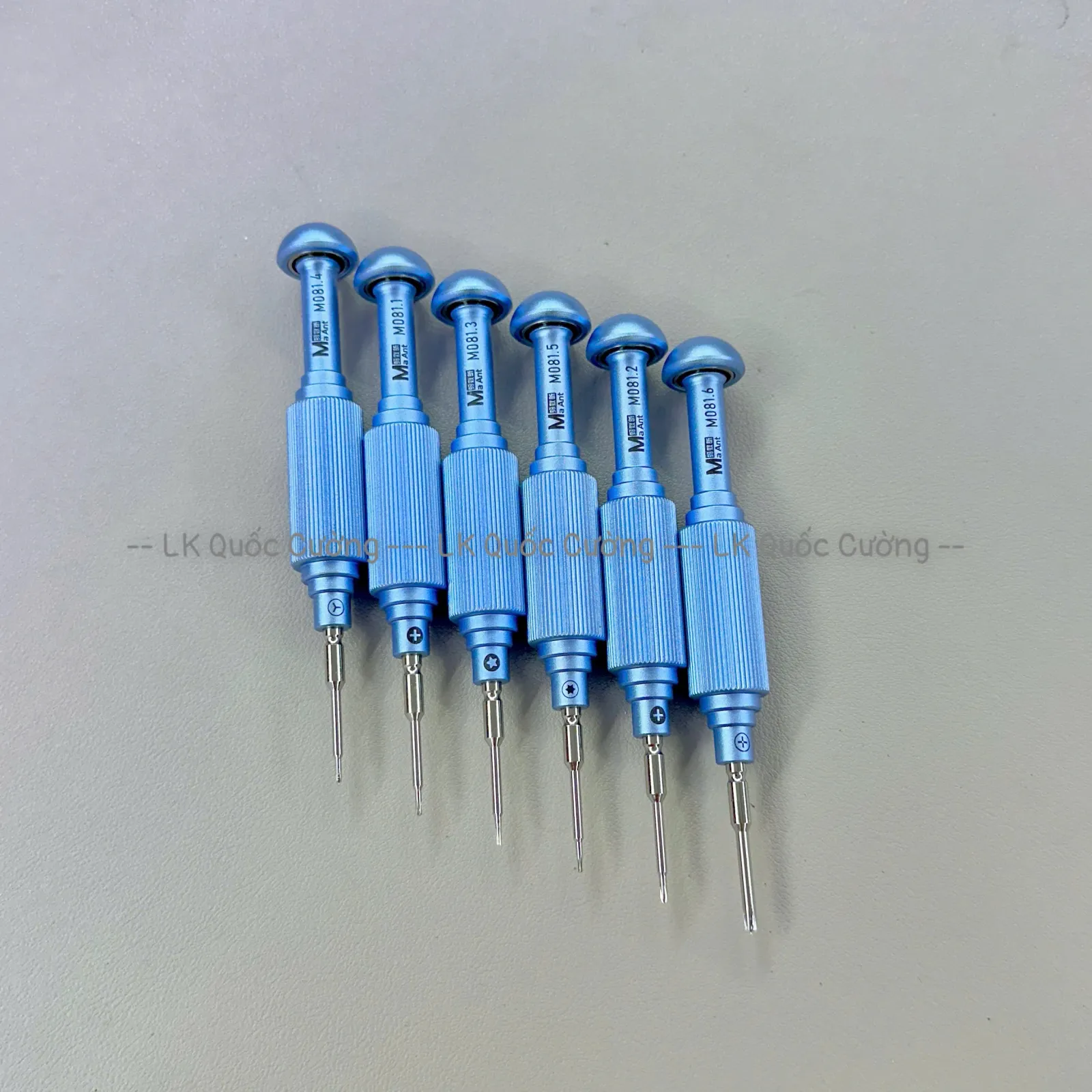 Bộ 6 vít MaAnt M081