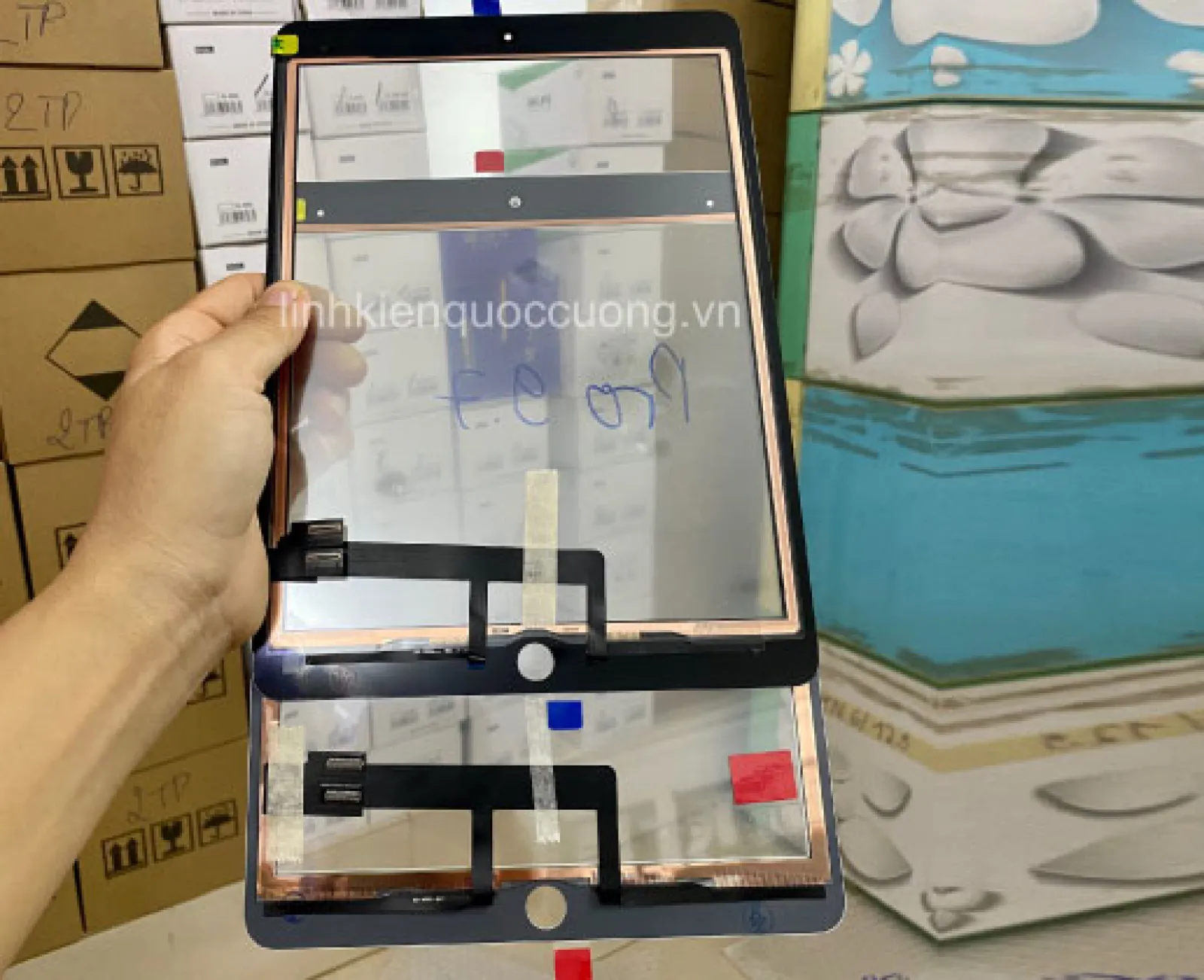 Cảm ứng Pro 9.7 Zin