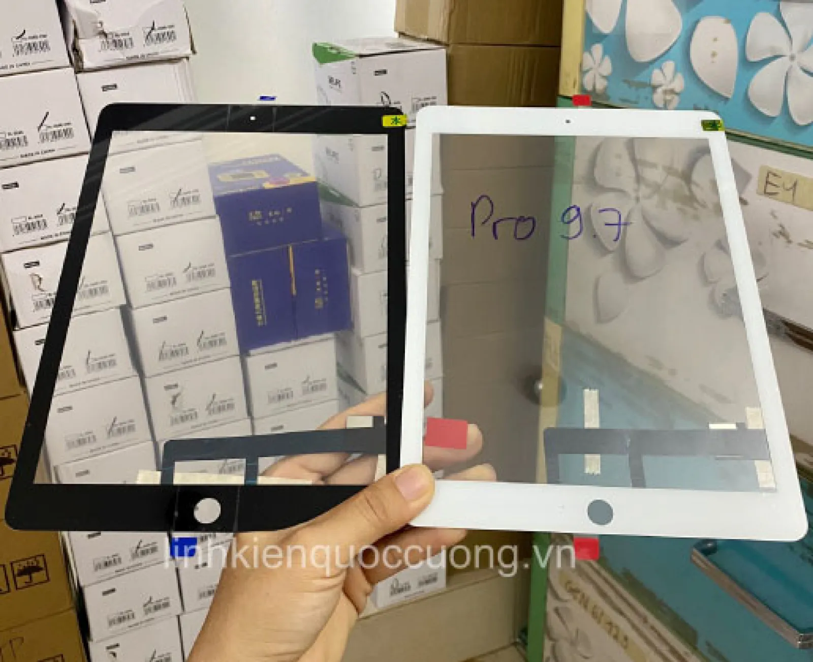 Cảm ứng Pro 9.7 Zin