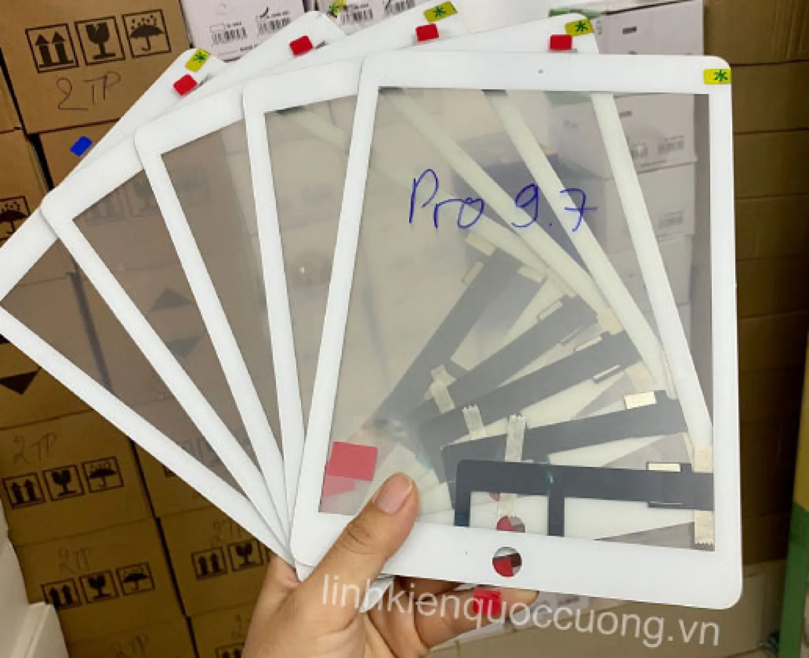 Cảm ứng Pro 9.7 Zin