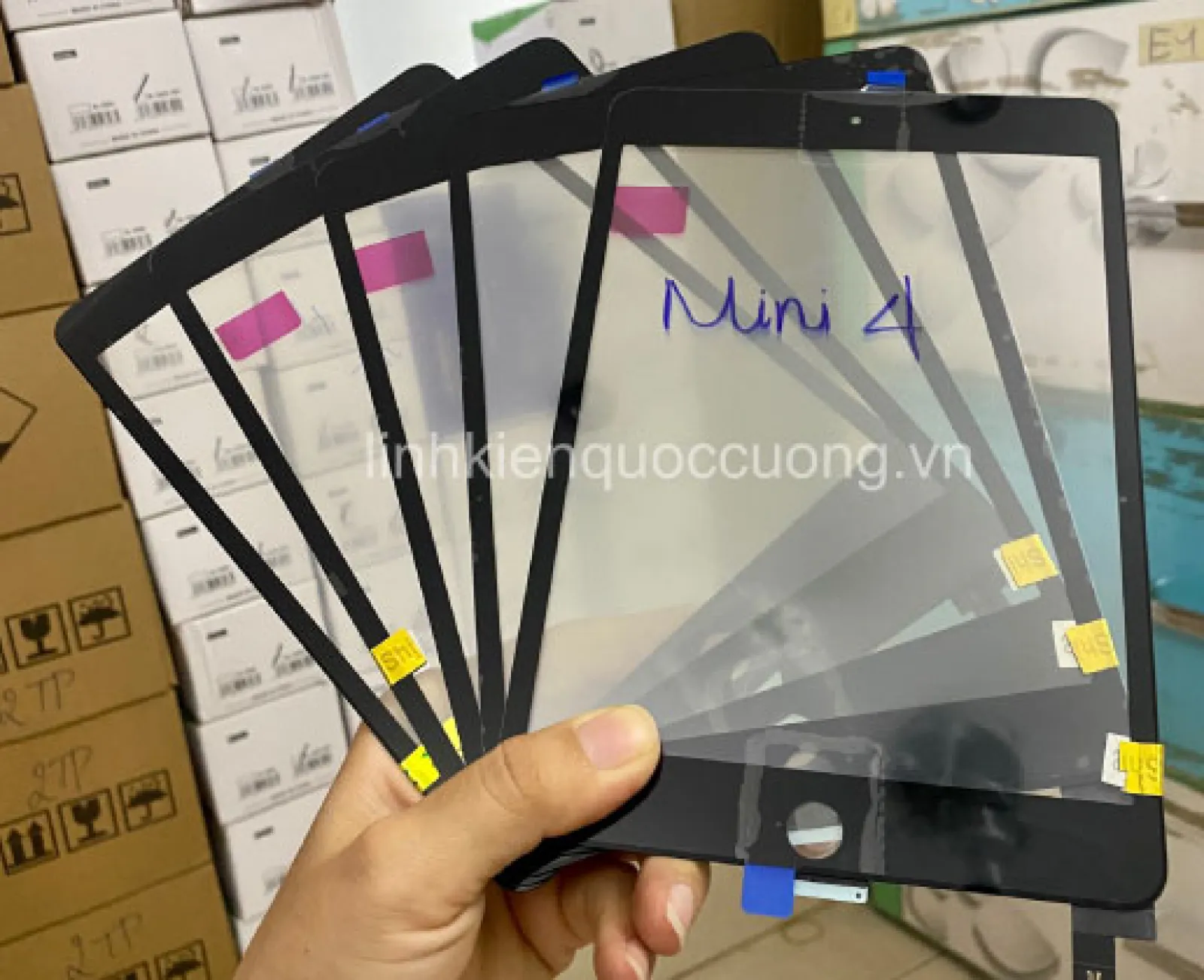 Cảm ứng Mini 4 Zin