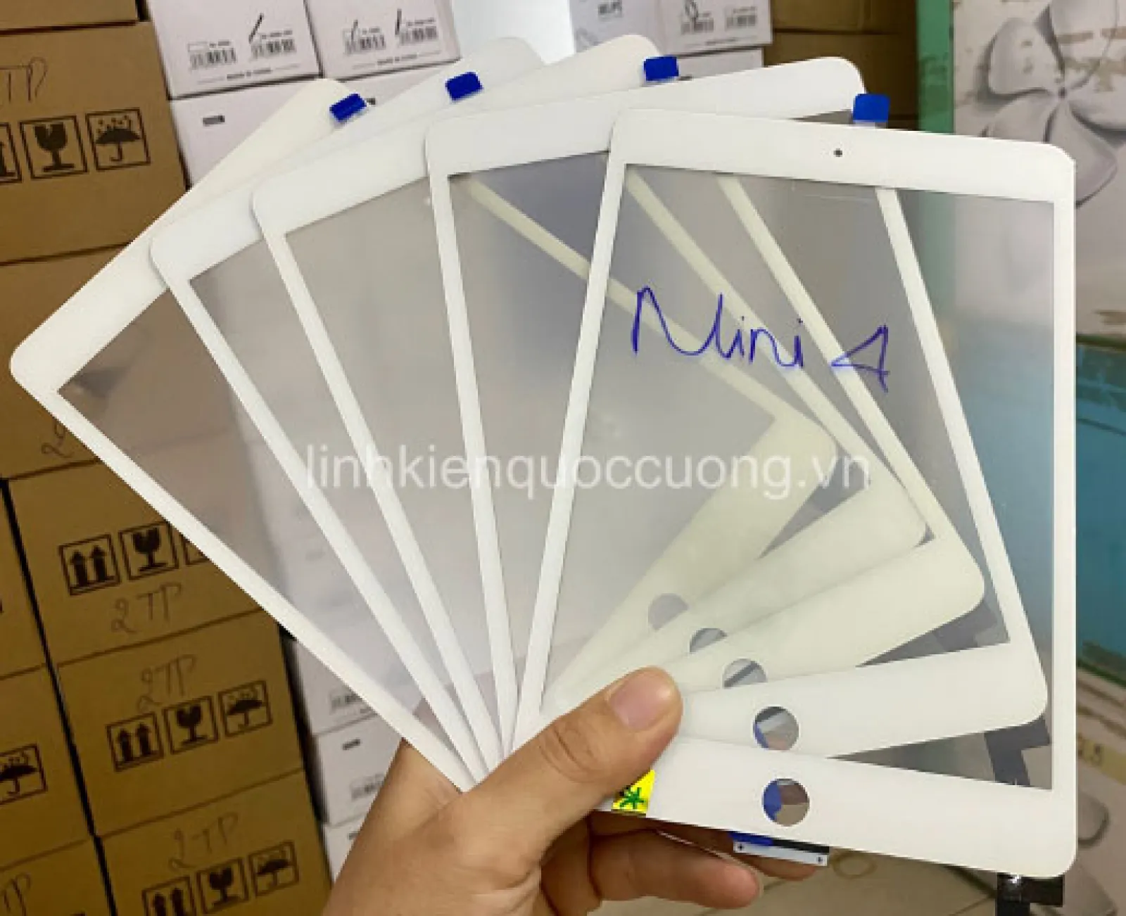 Cảm ứng Mini 4 Zin