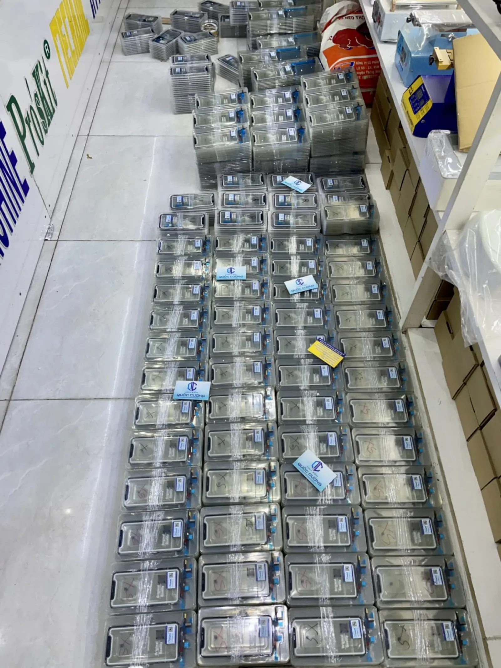 Cảm Ứng  11 Zin Đại Bàng