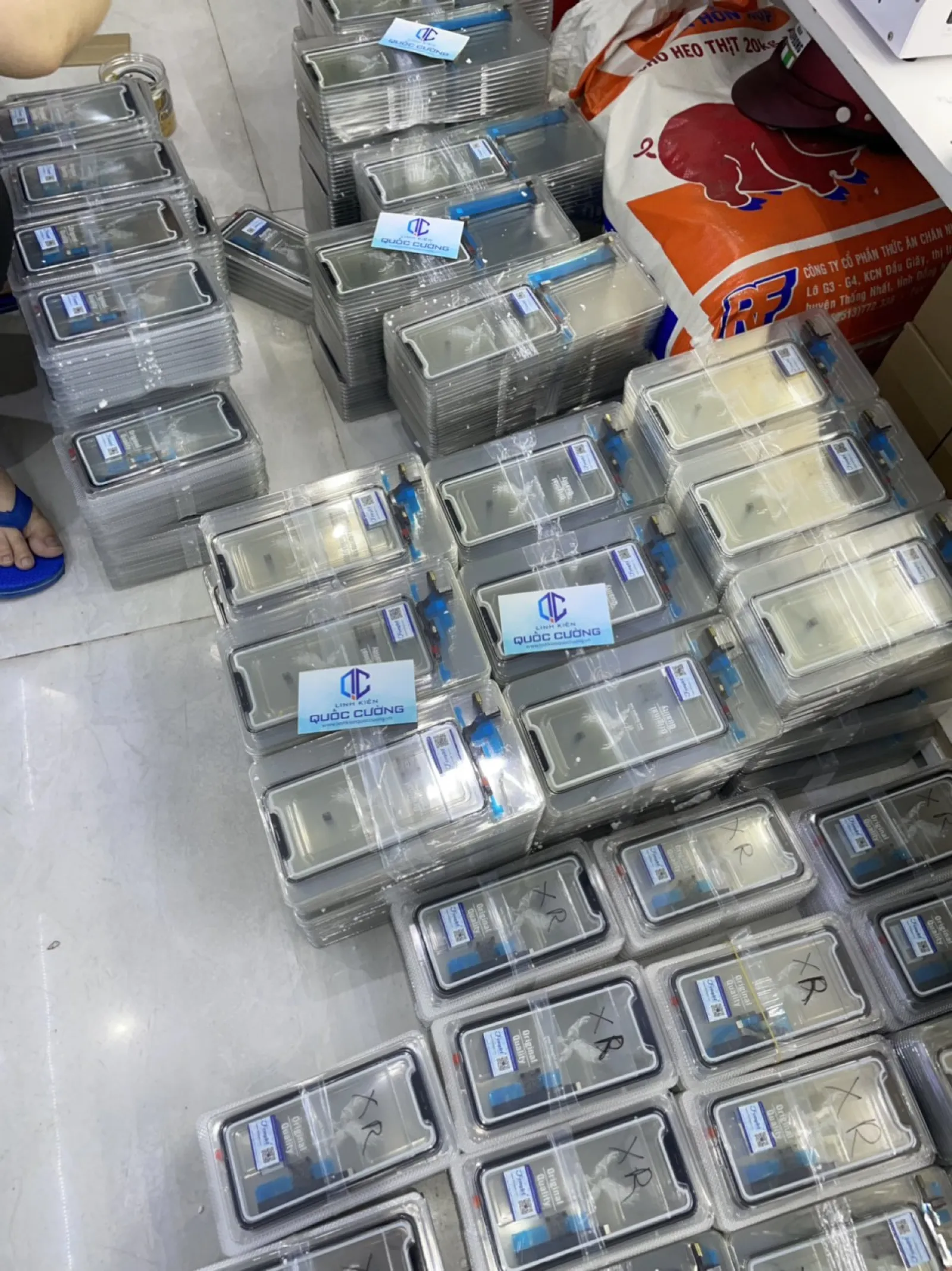 Cảm Ứng  11 Zin Đại Bàng