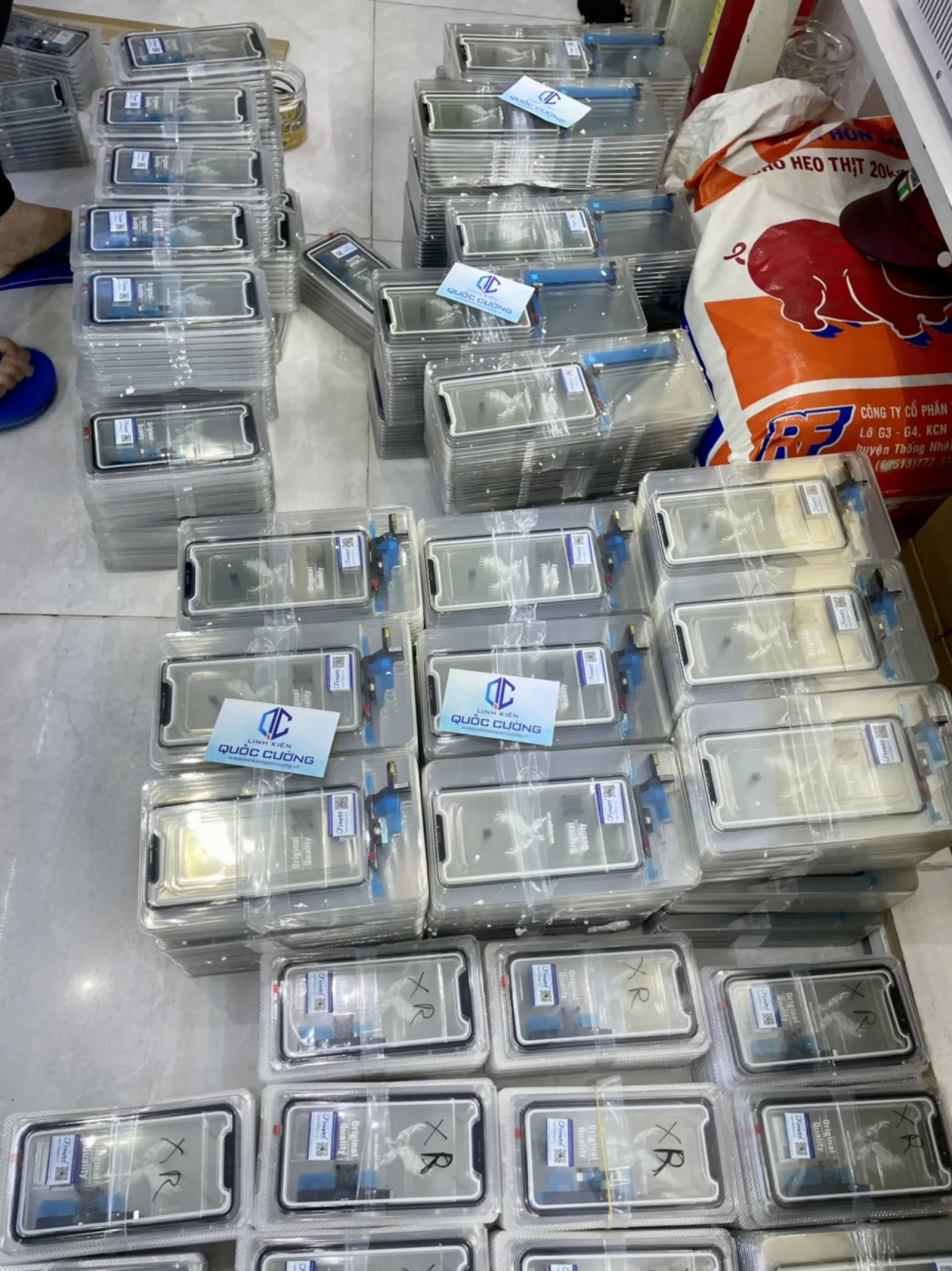 Cảm Ứng  11 Zin Đại Bàng