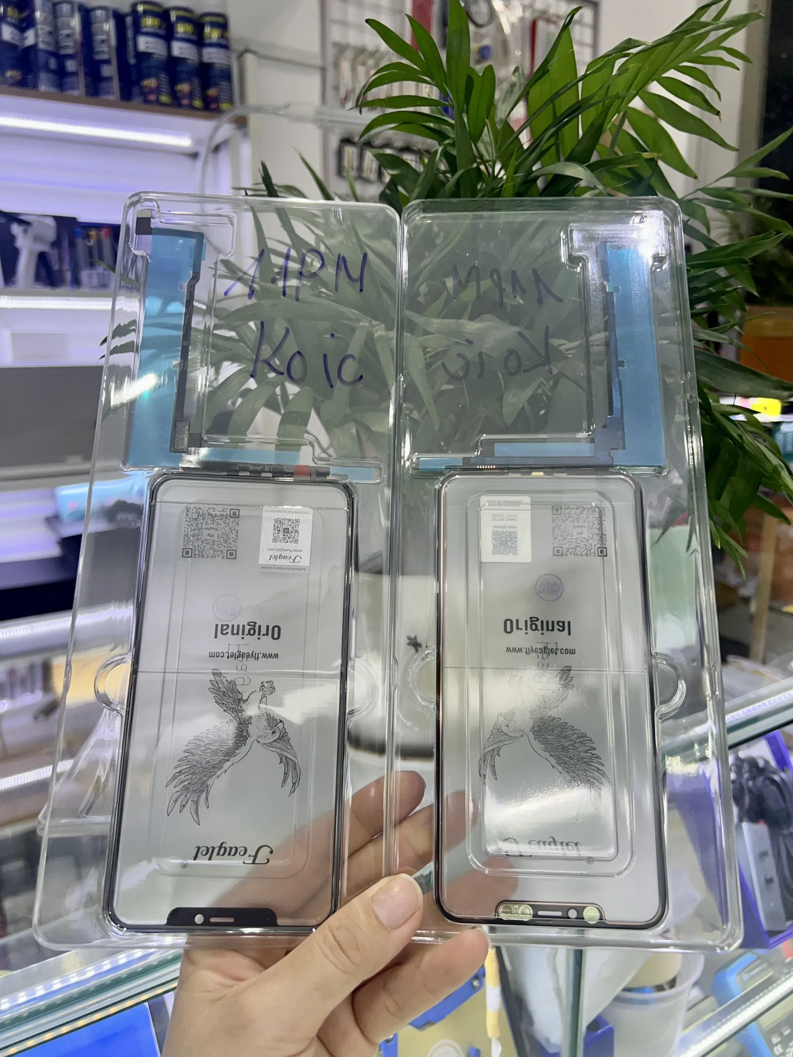 Cảm ứng 11PM không ic Đại Bàng