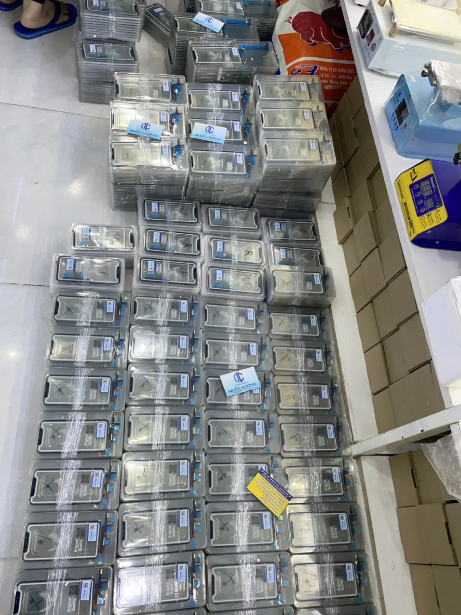 Cảm Ứng  11Pro Zin Đại Bàng