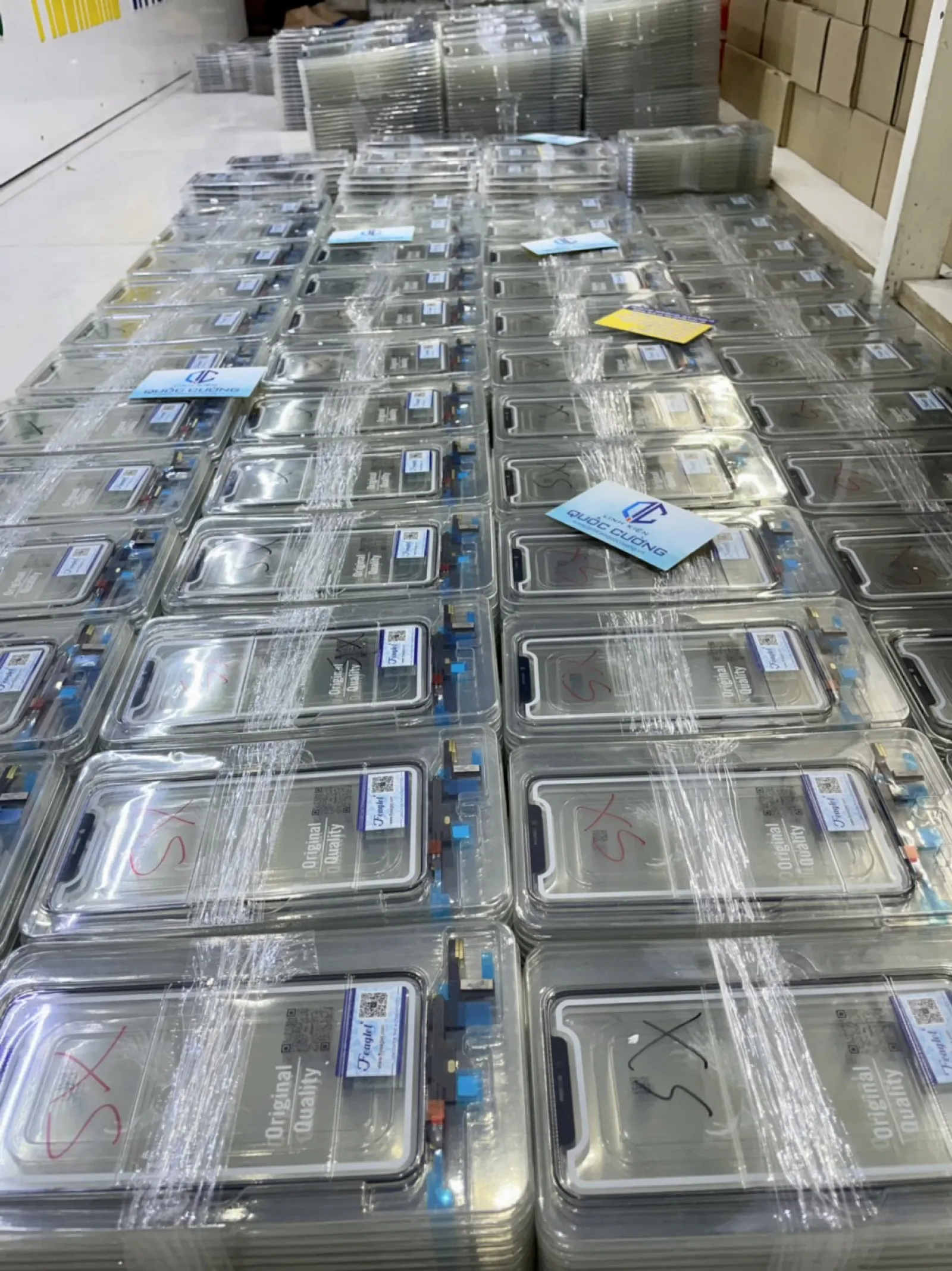 Cảm Ứng  X/xs Zin Đại Bàng