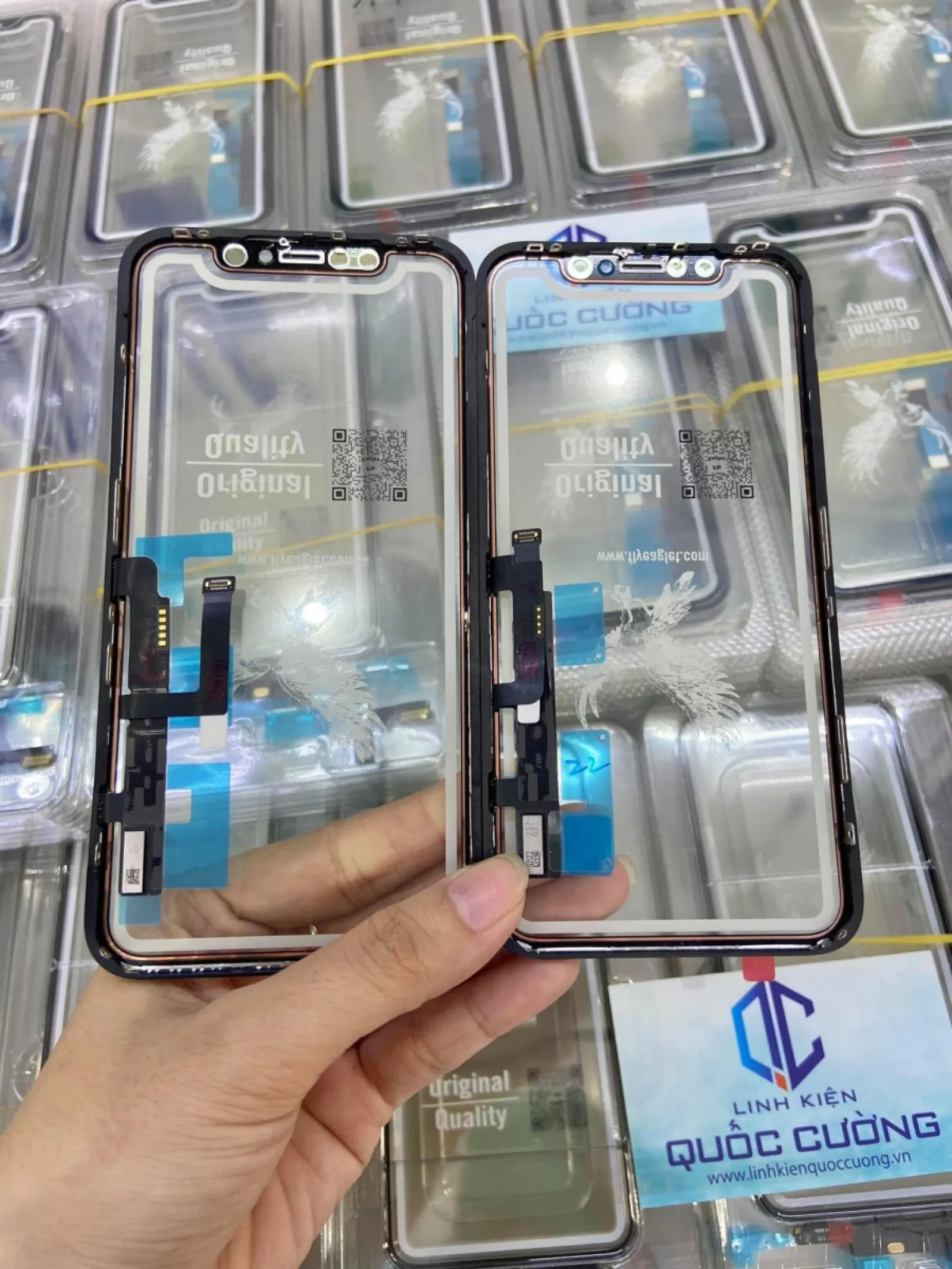 Cảm Ứng  XR Zin Đại Bàng