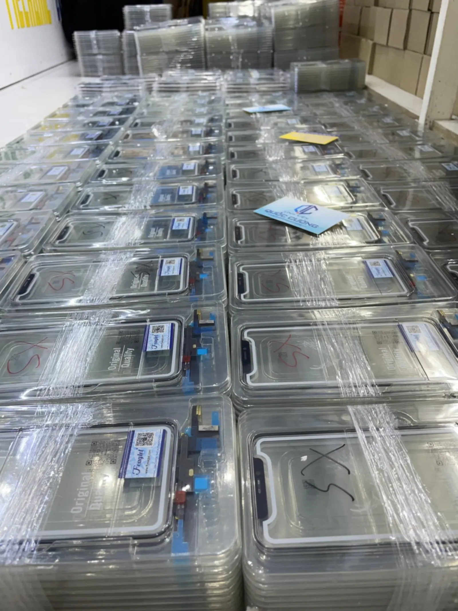 Cảm Ứng  XSMax Zin Đại Bàng