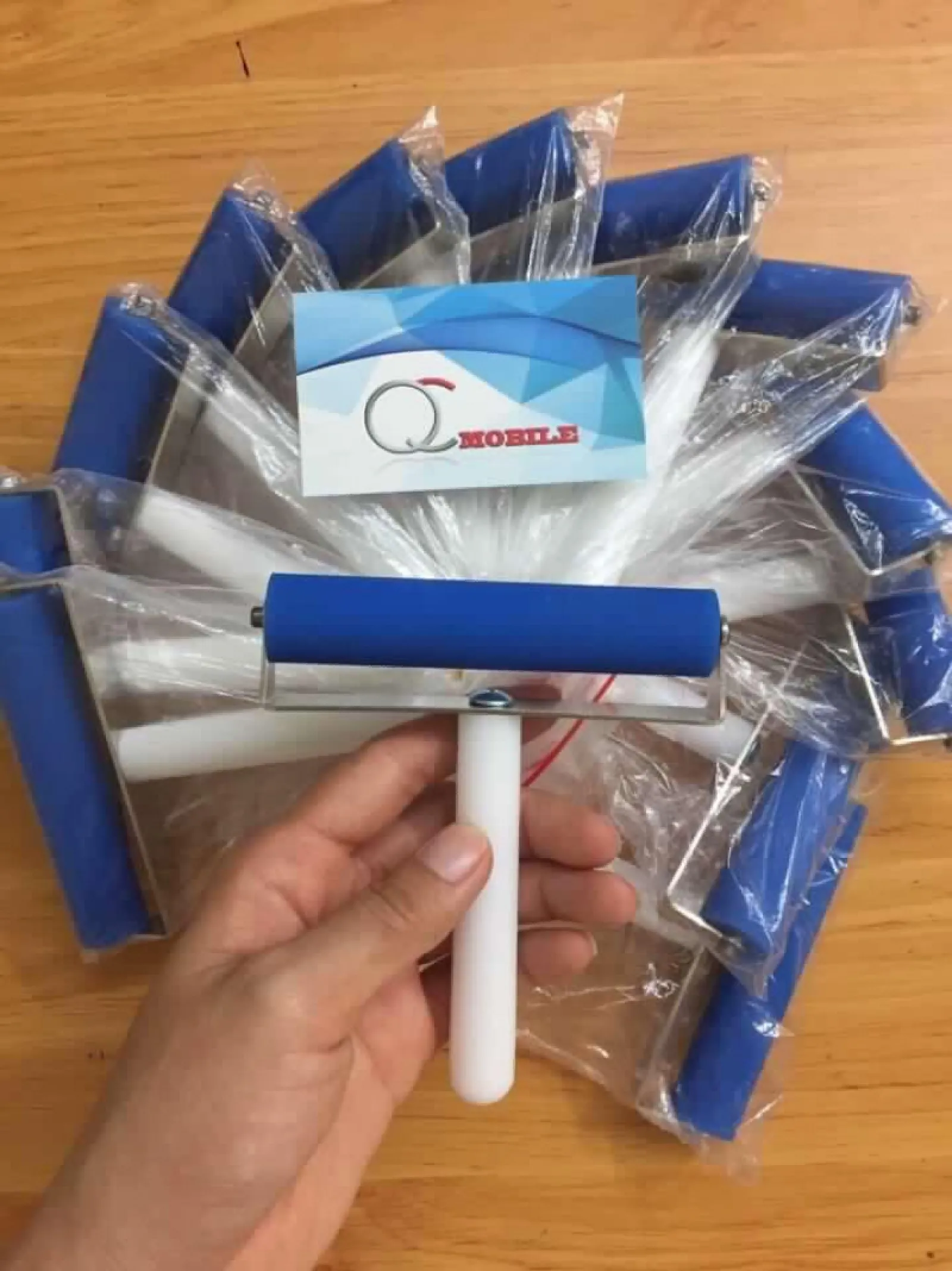 Cây Lăn Keo Xanh 10Cm