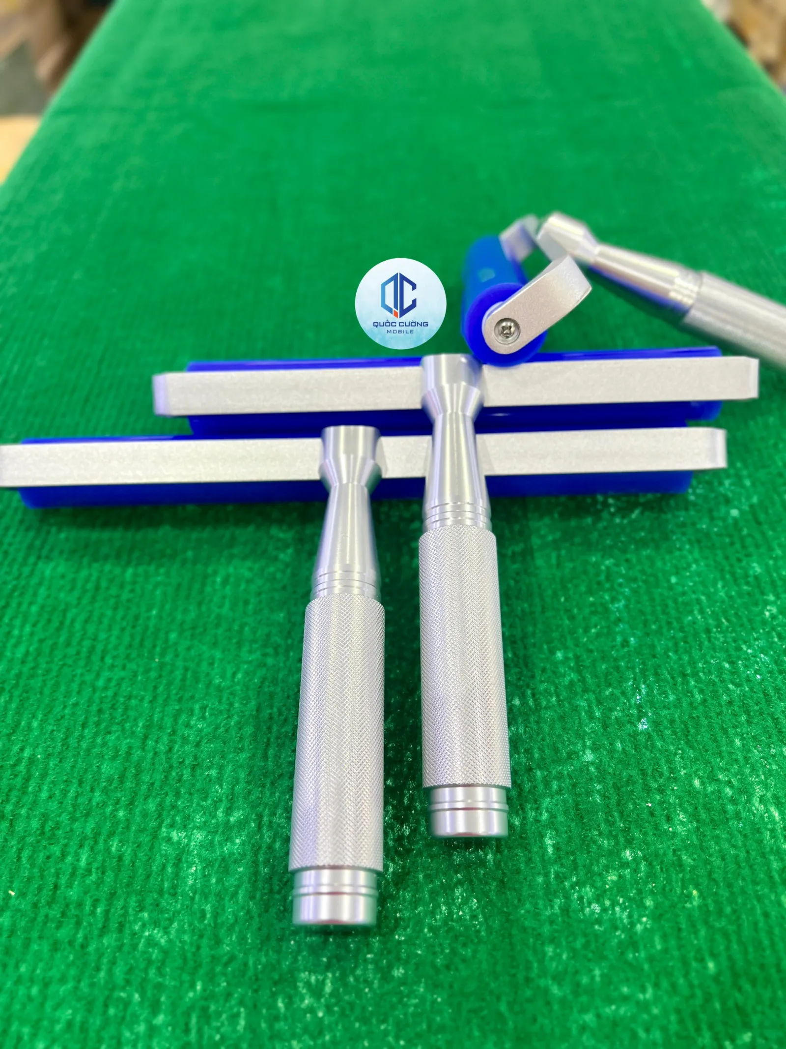 Cây Lan Keo Xịn Đủ Kích Thước