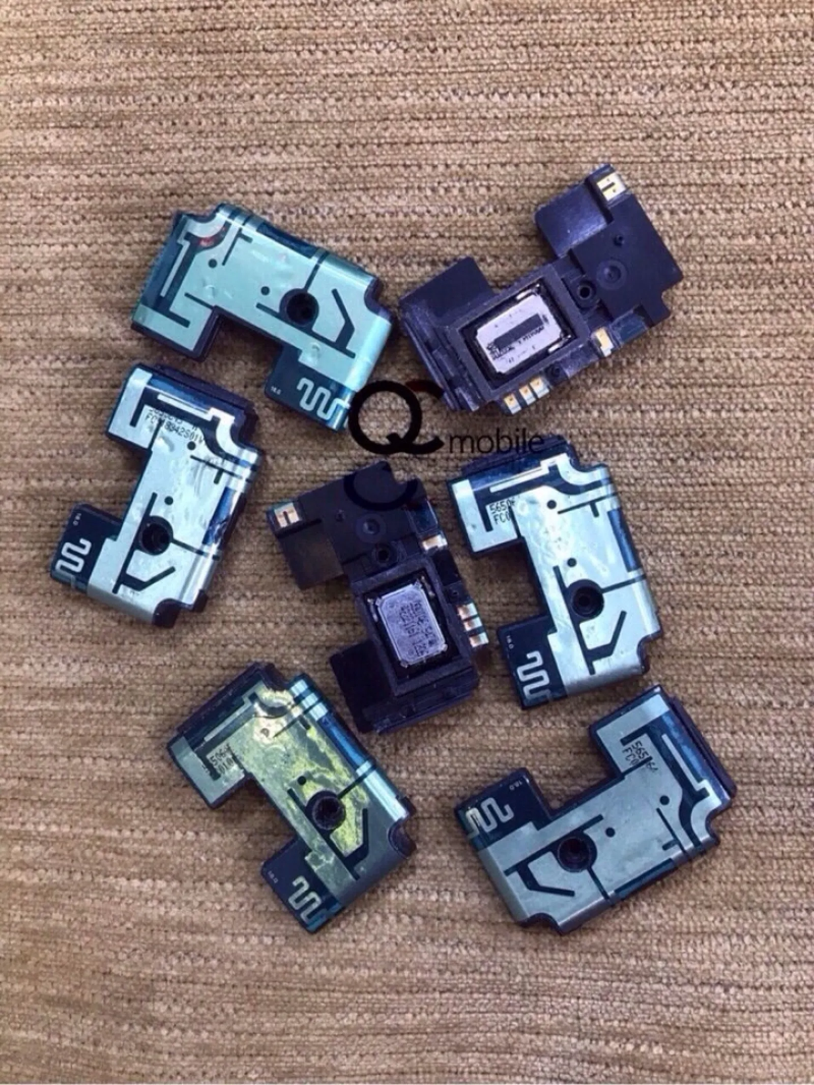 Cum Chuông Anten Sóng Zin