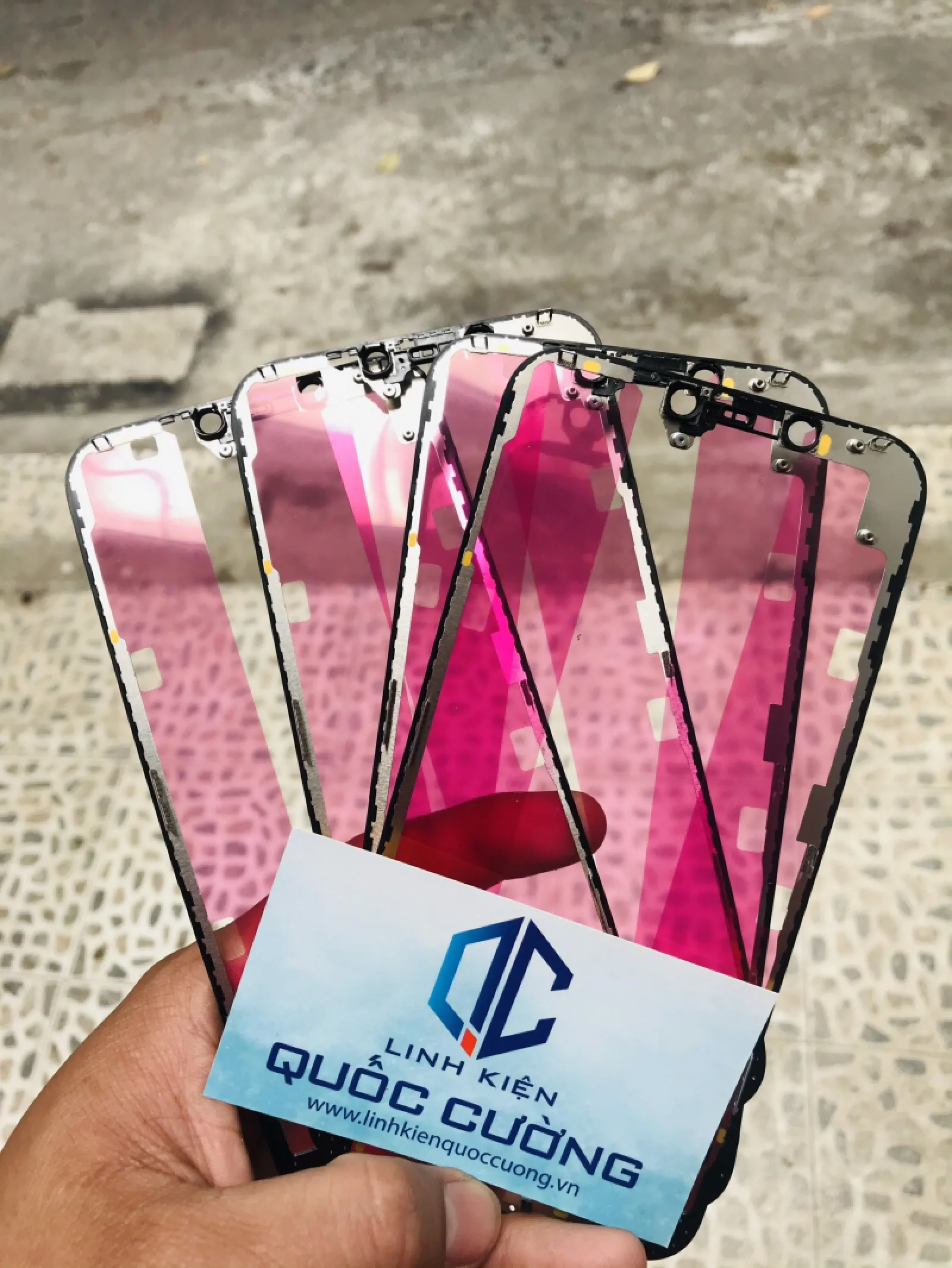 Khung Ron  12 Promax