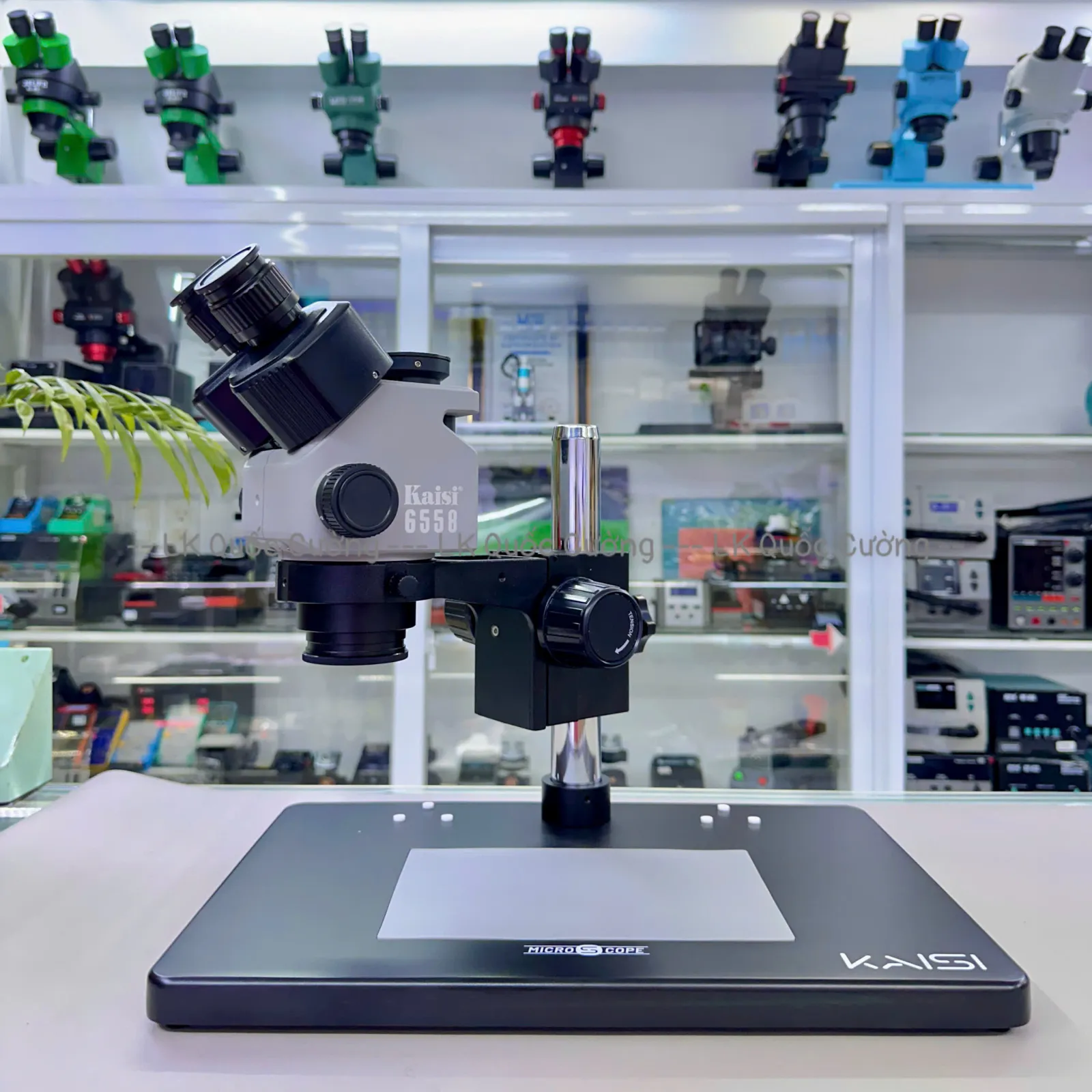 Kính hiển vi 3 mắt Kaisi 6558