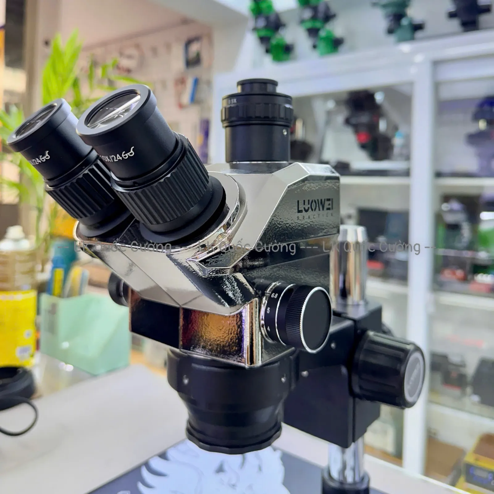 Kính hiển vi 3 mắt Luowei TR03-B3TV