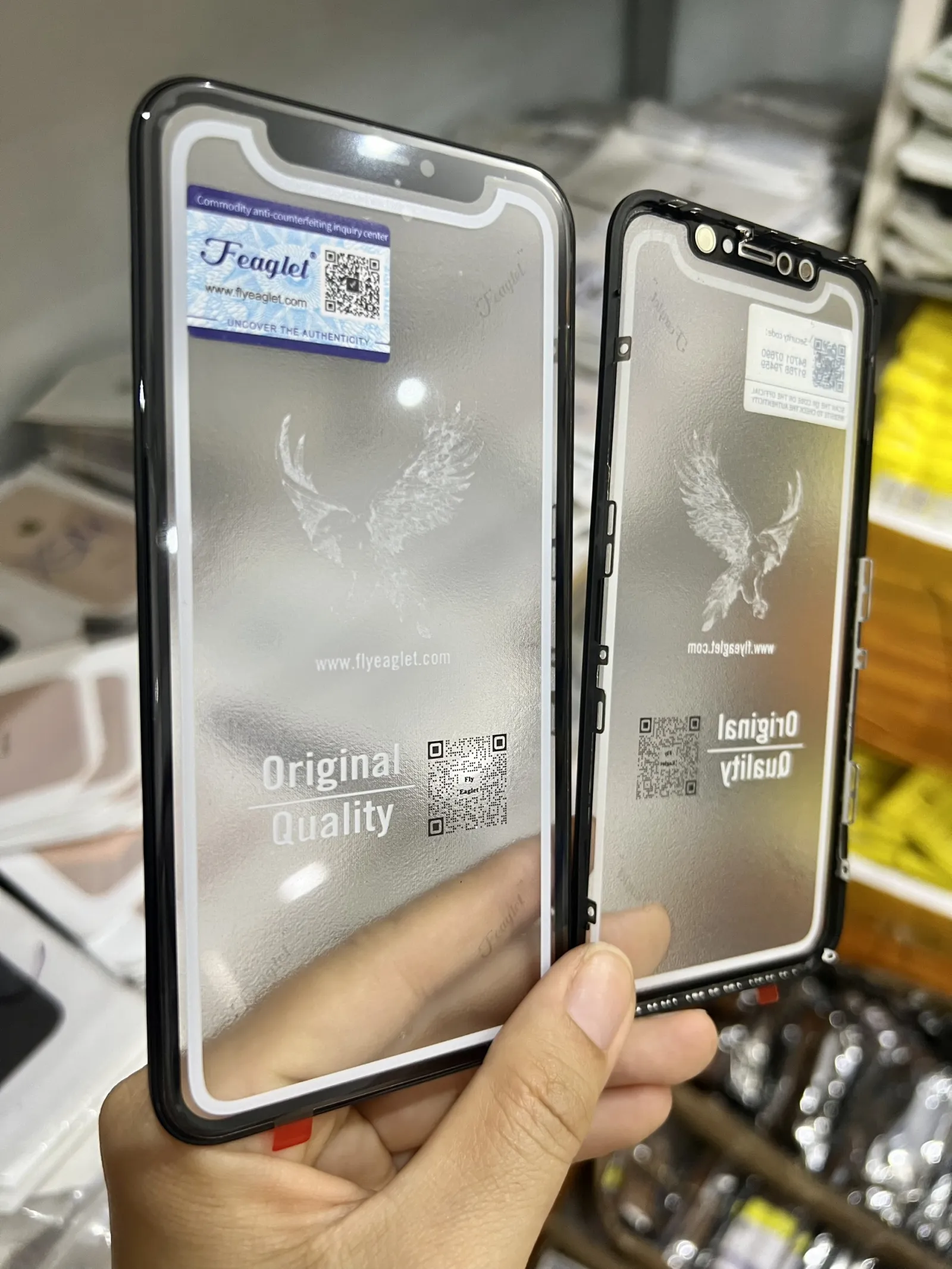 Kính XR Đại Bàng có keo