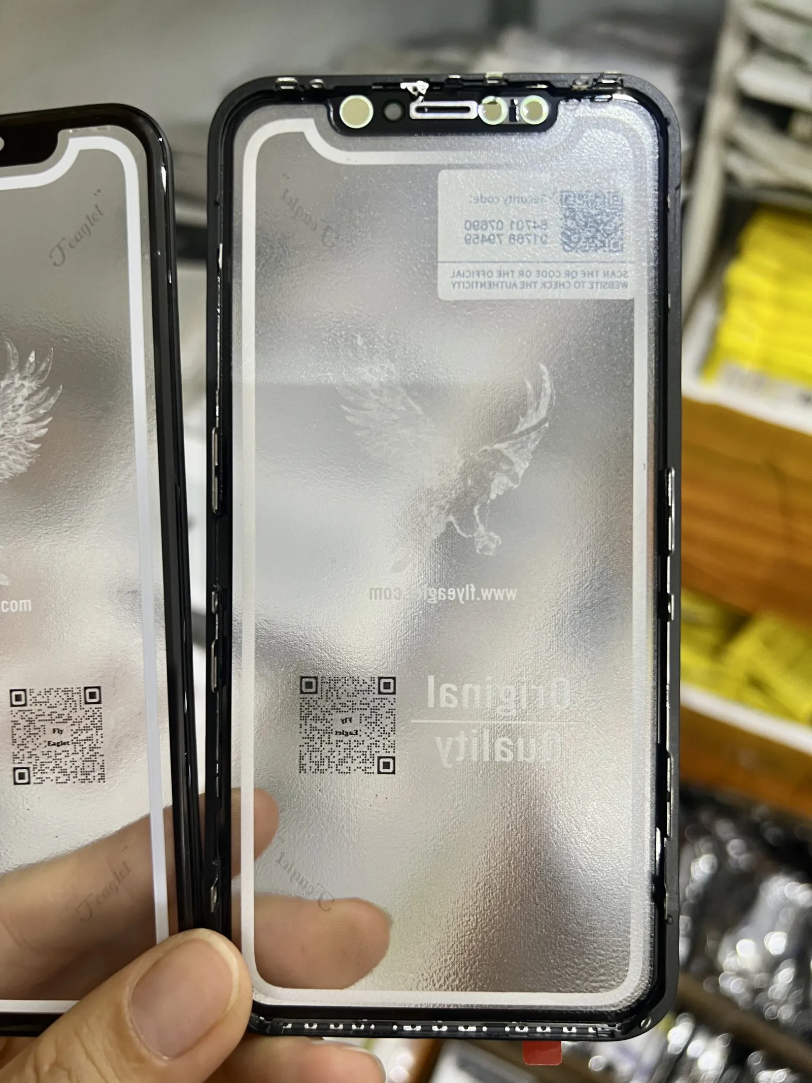 Kính XR Đại Bàng có keo