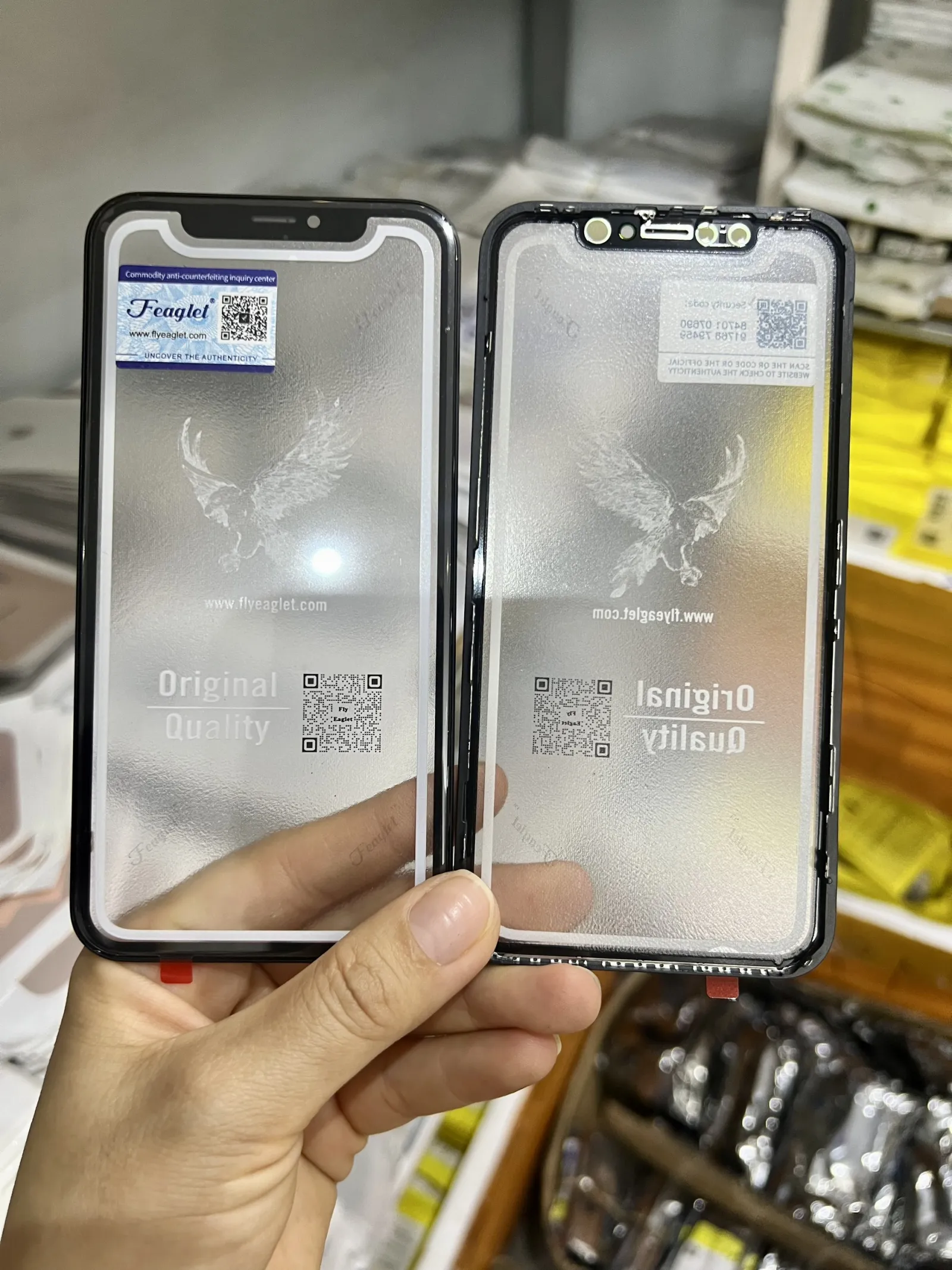 Kính XR Đại Bàng có keo