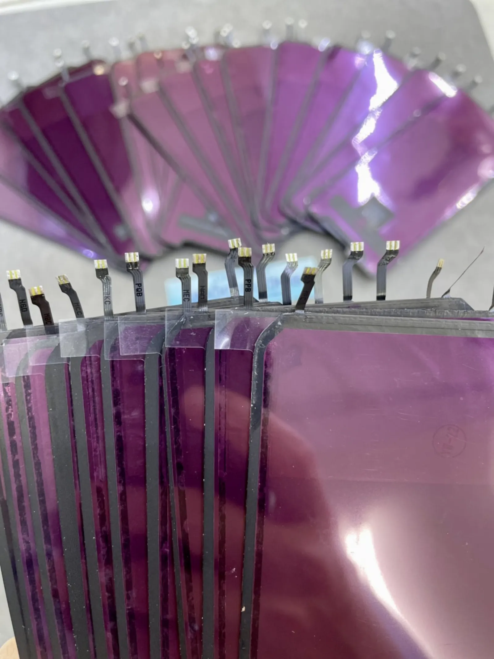 Phản Quang Zin Máy Xr/11