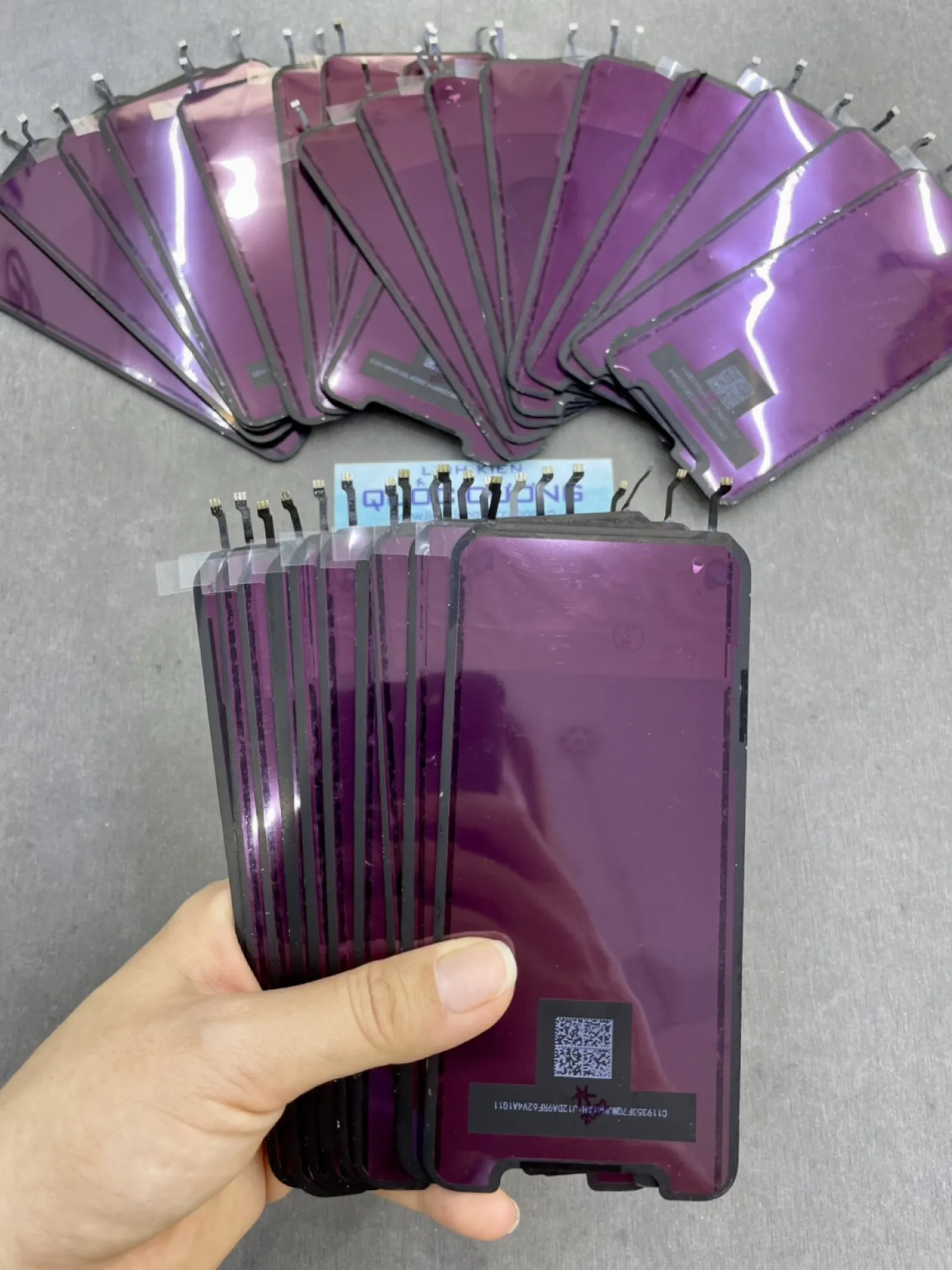 Phản Quang Zin Máy Xr/11