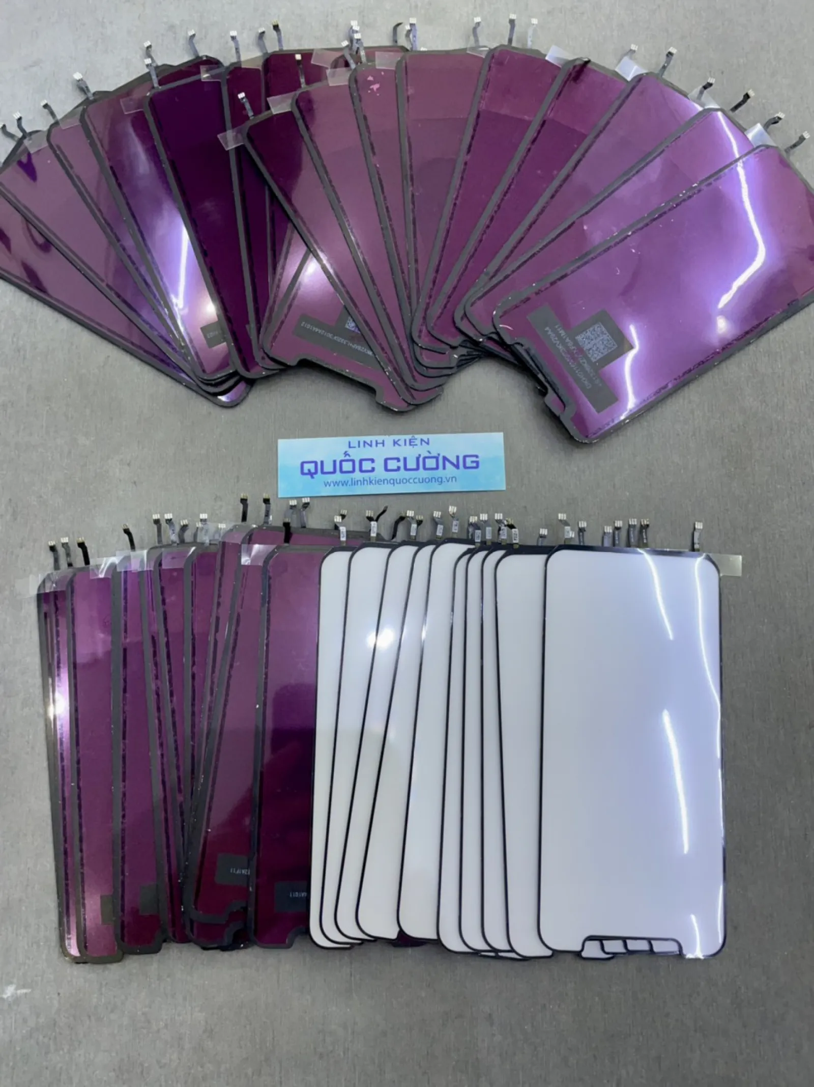 Phản Quang Zin Máy Xr/11