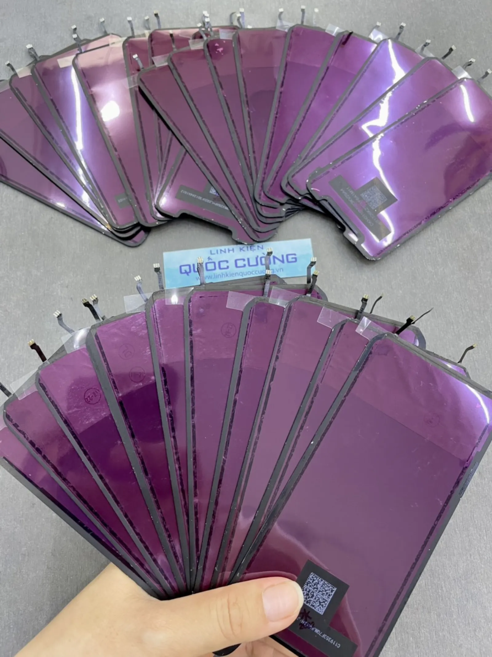 Phản Quang Zin Máy Xr/11