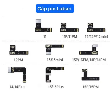 Cá Pin LUBAN 